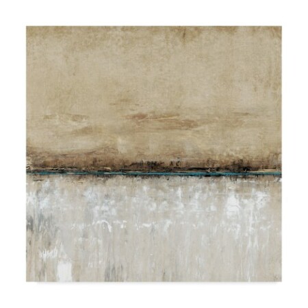 Trademark Fine Art Tim Otoole 'Blue Line I' Canvas Art